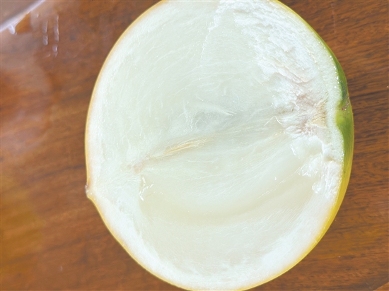 黃晶果的果肉晶瑩剔透，甜度極高，口感宛如天然冰淇淋。