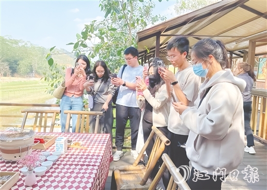 今年3月，開平市組織市重點自媒體走進大沙鎮(zhèn)開展花海茶田系列采風活動。