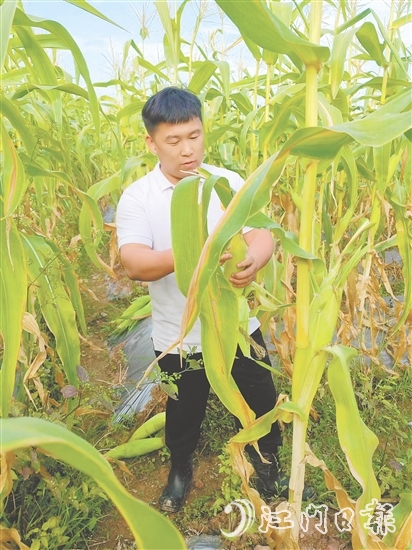 吳偉光的故事是新時(shí)代青年扎根鄉(xiāng)土的生動(dòng)注腳，也是鄉(xiāng)村振興大潮中萬千返鄉(xiāng)青年拼搏奮進(jìn)的真實(shí)寫照。