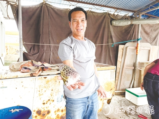 老漁民利叔展示新鮮漁獲。