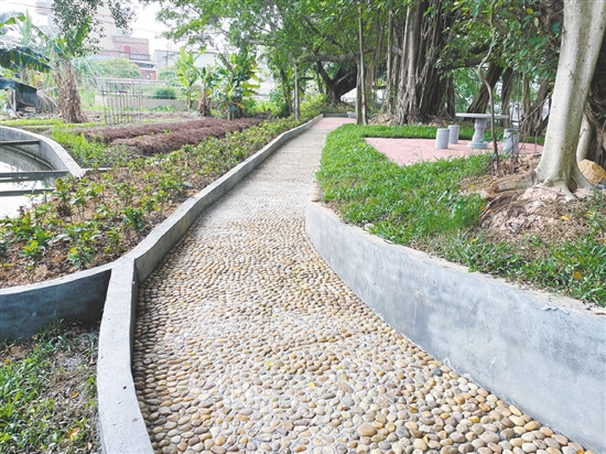 恩平自然村公園里裝設了石凳、石桌、鵝卵石健身路等設施，為村民提供更多的文化活動選擇。