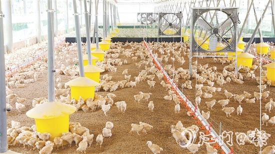 智能化管理系統(tǒng)全方位改善養(yǎng)殖環(huán)境，實(shí)現(xiàn)科學(xué)養(yǎng)殖。