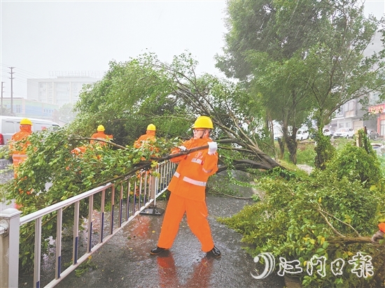 工作人員冒著風雨作業(yè)，清理倒伏樹木。
