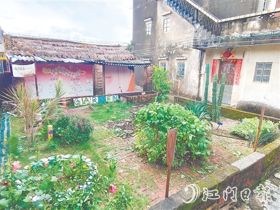 郭一芳家的庭院用沙地植物打造而成，形成層次分明的生態(tài)景觀。