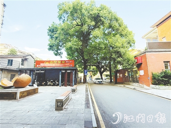 會城街道文體服務(wù)中心側(cè)地塊現(xiàn)狀。