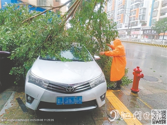 平安產險查勘員在巡查中看到一輛汽車被倒下的大樹壓住，馬上聯(lián)系車主并協(xié)助清理。