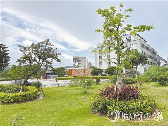 口袋公園不僅為社區(qū)拓展了綠色空間，更成了居民茶余飯后的休閑新去處。