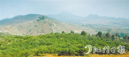 利奧集團經(jīng)過多番考察，尋找到合適的山地種植油茶樹。