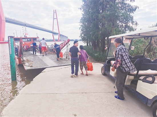 新會(huì)區(qū)三江鎮(zhèn)沙仔島是銀洲湖上的孤島，四面環(huán)水，僅靠渡船往來(lái)。昨日，三江鎮(zhèn)對(duì)沙仔島全島常住村民60多人全部進(jìn)行轉(zhuǎn)移。馮瑤君