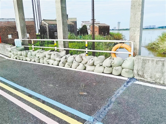 臺(tái)山市大江鎮(zhèn)重點(diǎn)通過(guò)堆疊防汛沙包，對(duì)轄區(qū)江邊所有易漫水口進(jìn)行逐一封堵、壓實(shí)，切實(shí)將臺(tái)風(fēng)可能引發(fā)的江水漫溢風(fēng)險(xiǎn)降至最低。李嘉敏