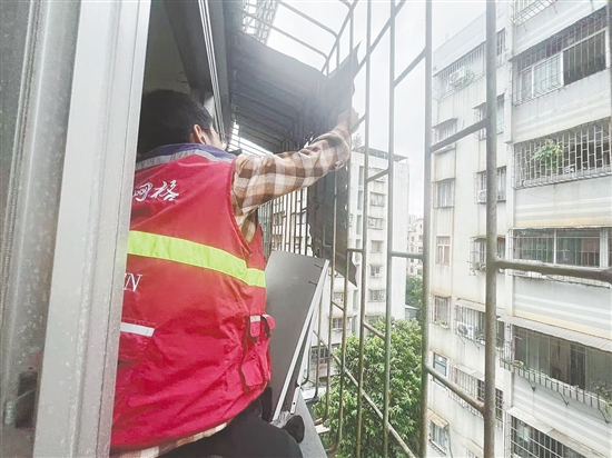 蓬江區(qū)育德社區(qū)網(wǎng)格員協(xié)助屋主及時(shí)將松動(dòng)的鐵皮擋雨板拆下，消除安全隱患。任佳燕