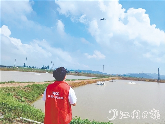 江門人保財(cái)險(xiǎn)工作人員現(xiàn)場(chǎng)開展前置性風(fēng)險(xiǎn)排查與防護(hù)指導(dǎo)。