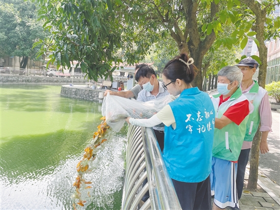 大家協(xié)力將“滅蚊魚”投放到甘化新村的人工湖。