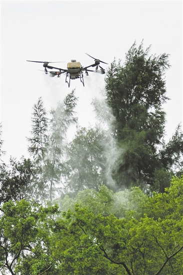 無(wú)人機(jī)在滅蚊防疫攻堅(jiān)戰(zhàn)中大顯身手。圖為鶴山采用無(wú)人機(jī)精準(zhǔn)開展滅蚊工作。