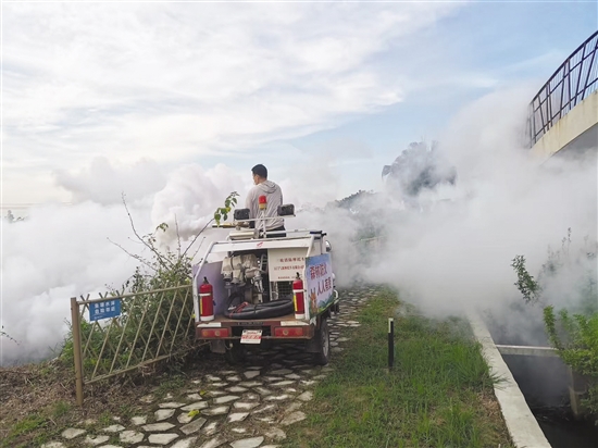 開平市塘口鎮(zhèn)通過(guò)多種方式應(yīng)用煙霧機(jī)滅蚊。圖為煙霧機(jī)搭配農(nóng)用車對(duì)蚊蟲進(jìn)行滅殺。