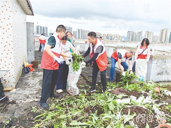 黨員干部在老舊居民樓頂清理廢棄花盆、雜物、亂生植物，不放過(guò)任何一個(gè)衛(wèi)生死角。