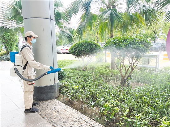 江門市婦幼保健院開展蚊蟲消殺行動(dòng)，打造“無蚊醫(yī)院”。