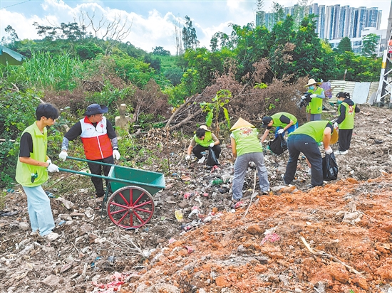 鶴山市青年志愿者分工明確，高效清理屬地垃圾。