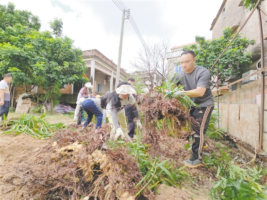 沙坪街道林屋村開展“兩清一滅”行動。
