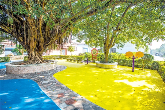 鶴山推動(dòng)村居小公園環(huán)境整治，為群眾提供舒適的生活環(huán)境。圖為位于桃源鎮(zhèn)的一處口袋公園。