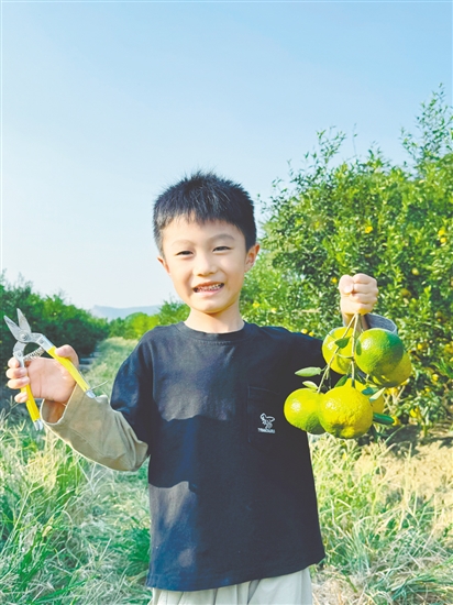 小朋友到果園體驗采摘的樂趣。