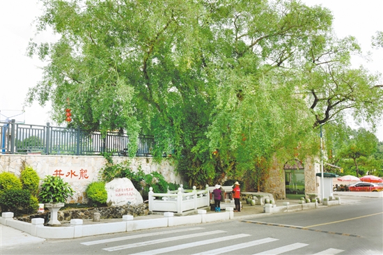 去年，在鄉(xiāng)賢的大力支持下，對井水龍進(jìn)行了修繕，周邊鋪了石板、種了綠植，以及裝了抽水機(jī)及水龍頭，方便村民取水。