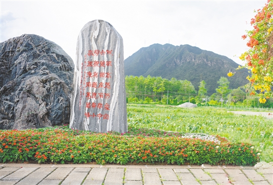 陳白沙景觀石是城西村的網(wǎng)紅打卡點(diǎn)。