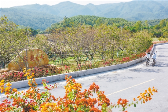 村道漂亮了，不少騎友從沙坪騎行到城西村，呼吸這里清新的空氣。