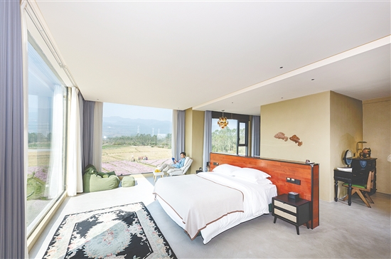 小新民宿與叢林、稻田、大山等自然景觀融為一體，讓游客最大限度感受自然的魅力。