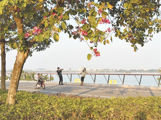 濱江綠道景致清幽，成為市民曬太陽(yáng)的優(yōu)選之地。