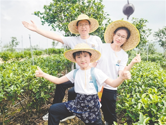 在“一起趣采茶”周末營中，一家三口展示采茶時的樂趣。