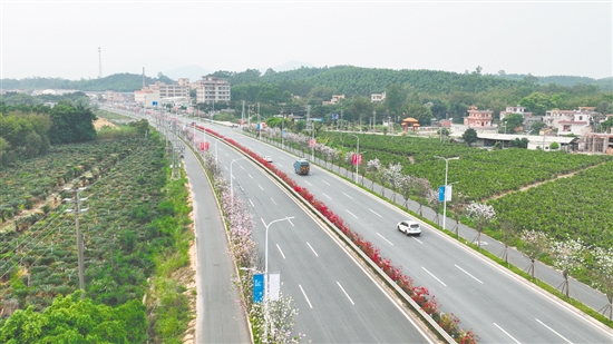 省道S270線鶴城至杜阮段擴建工程建成通車。