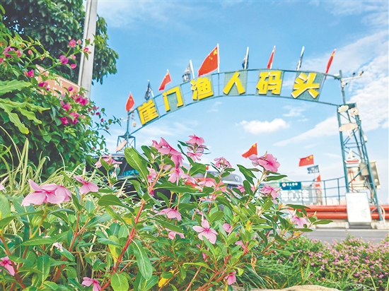 新會區(qū)創(chuàng)新濱海文旅融合發(fā)展模式，傾力打造特色濱海旅游帶，崖門漁港內(nèi)可乘游艇暢游碧海銀湖段。