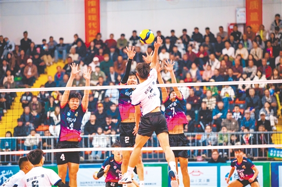 作為“排球之鄉(xiāng)”臺山的現(xiàn)象級賽事，“僑VA”承載著百年排球文化傳承與僑鄉(xiāng)情感聯(lián)結(jié)的雙重使命。