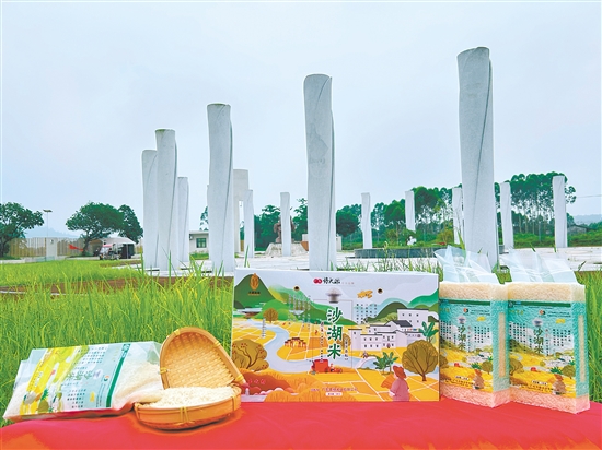 恩平大米成功獲評(píng)國家地理標(biāo)志農(nóng)產(chǎn)品、全國名特優(yōu)新農(nóng)產(chǎn)品、國家區(qū)域公用品牌、廣東省名牌產(chǎn)品，并入選“廣東好大米”十大品牌。