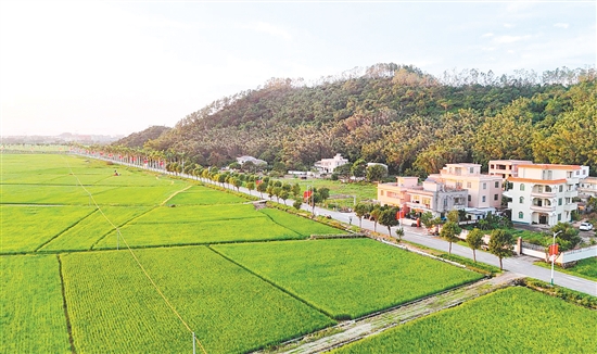 沖金村高質量完成高標準農田改造工程，讓灌溉水系與田園風光相融合。