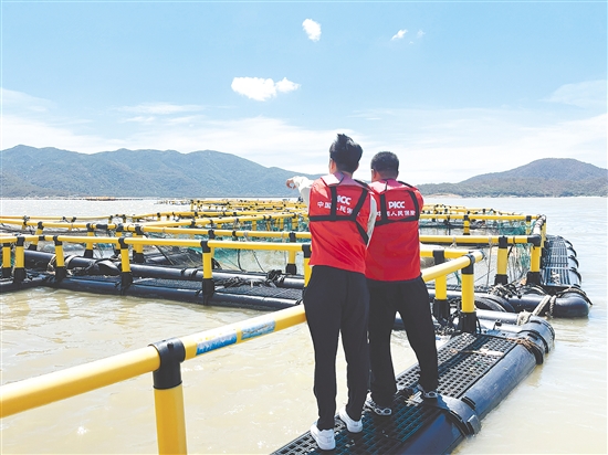 “樺加沙”過(guò)境后，該公司農(nóng)險(xiǎn)理賠人員搶抓時(shí)間到海洋牧場(chǎng)查勘定損。