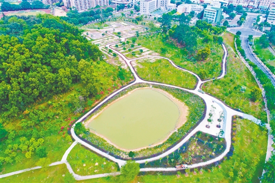 位于沙坪街道的鶴山文化中心綠美示范點變得越來越靚麗。