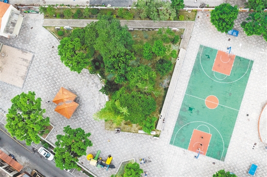 茶坑村將村內(nèi)荒地和廢舊屋舍改造成為休閑公園。