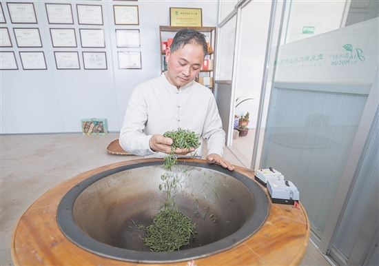 圖為3月10日，金華市非物質(zhì)文化遺產(chǎn)“武陽春雨制作技藝”代表性傳承人、全國技術(shù)能手鮑王棟在炒制今年首批“武陽春雨”春茶。