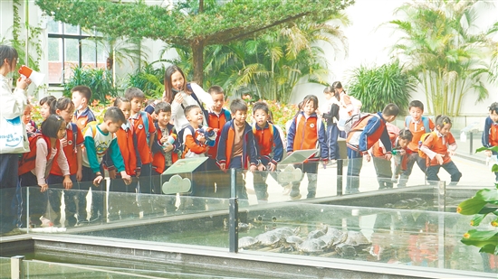 鶴山福倫文旅龜博園聚焦家庭親子、研學(xué)教育等市場(chǎng)。