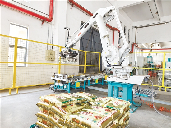 在珍香米業(yè)二期項(xiàng)目生產(chǎn)車間，一條現(xiàn)代化、全自動(dòng)加工線高效運(yùn)轉(zhuǎn)。