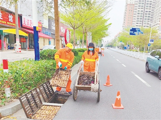 臺山市城市管理和綜合執(zhí)法局圍繞環(huán)境衛(wèi)生整治、病媒生物防制等重點任務，聚焦環(huán)衛(wèi)、園林、排水、市政、燃氣五大行業(yè)領域，全面開展治理行動。
