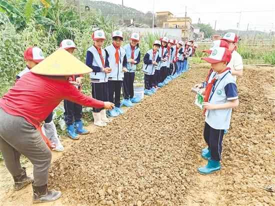 農(nóng)技人員為學(xué)生們教學(xué)，一邊示范插秧動作，一邊強(qiáng)調(diào)插秧的關(guān)鍵要點(diǎn)。
