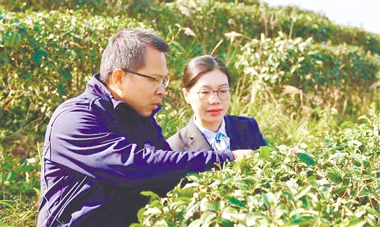 農(nóng)行江門分行工作人員送金融服務(wù)到鄉(xiāng)村。