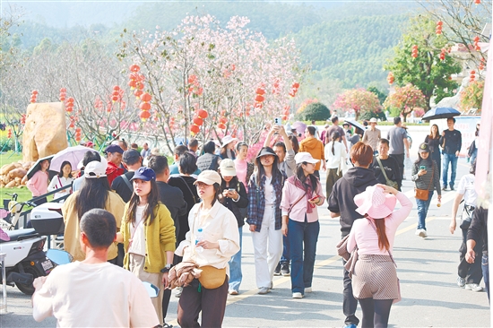 本次活動累計吸引數(shù)萬名市民游客慕名而來。