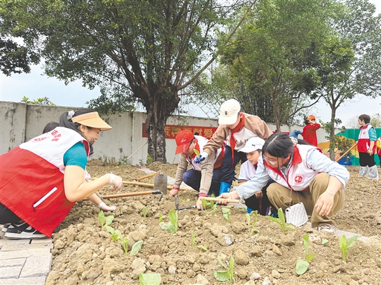 孩子和家長(zhǎng)默契配合、分工協(xié)作，合力種下菜苗。