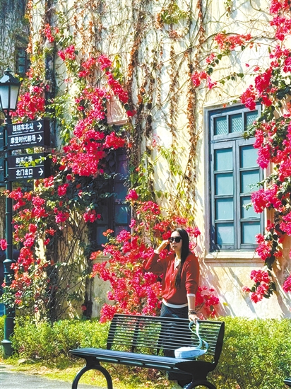 3月的江門變身“花花世界”。