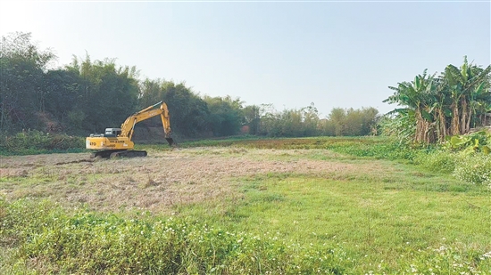 施工隊(duì)正在進(jìn)行開(kāi)荒，保障后續(xù)早造播種。