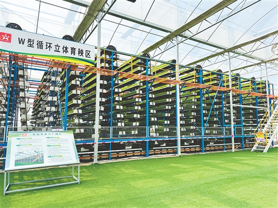 廣東供銷天禾臺(tái)山智慧農(nóng)場(chǎng)已建成1728平方米智能化育秧溫室，創(chuàng)新采用W型循環(huán)運(yùn)動(dòng)立體育秧系統(tǒng)，4.5秒即可完成單盤育秧工序。